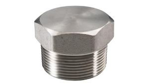 Carbon Steel Stainless Steel Pipe Fitting Flanges manufacturer in Pimpri-Chinchwad