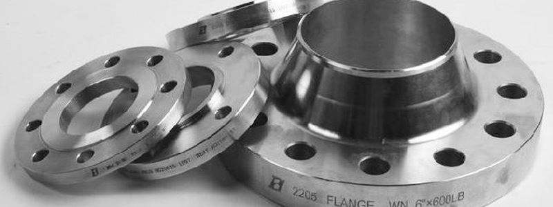 Stainless Steel Companion Flanges Supplier in India